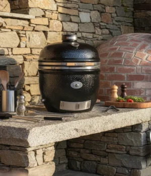 kamado grill monolith Chef cuisine d'extérrieur d'été pierre ustensiles